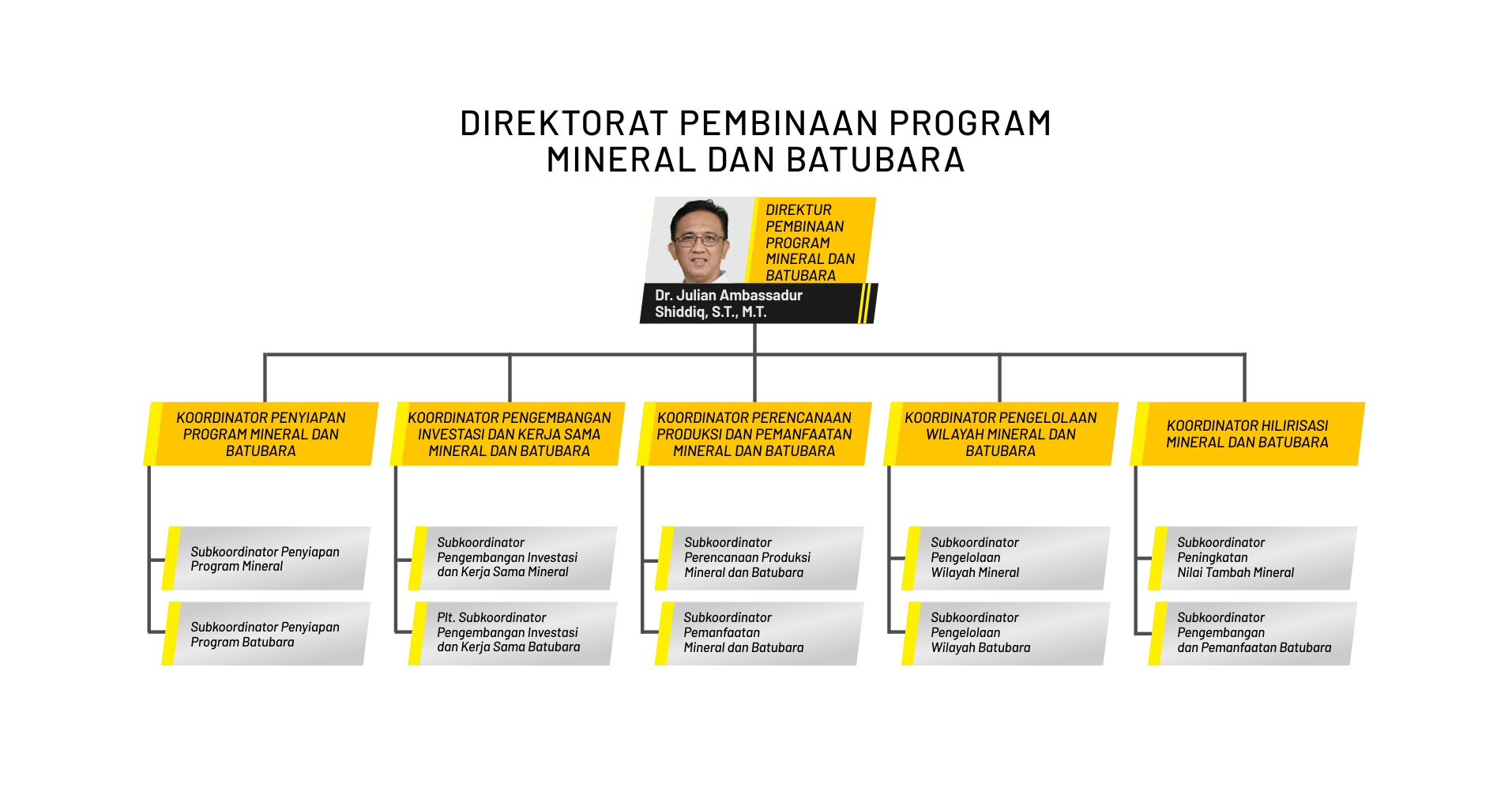 Direktorat Pembinaan Program Mineral dan Batubara